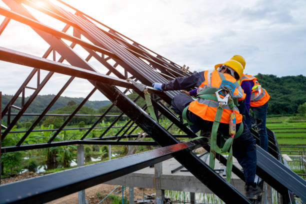 Best Roof Leak Repair  in Shields, MI