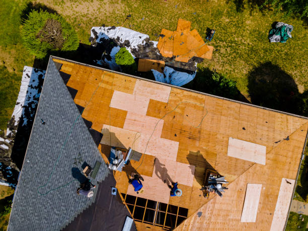 Best New Roof Installation  in Shields, MI