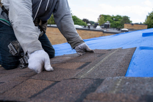 Best New Roof Installation  in Shields, MI