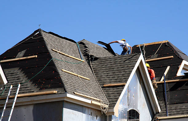Best Roof Restoration Services  in Shields, MI