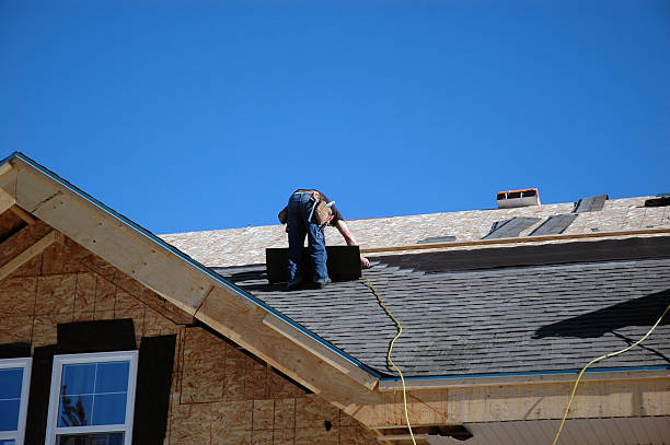 Best Roof Maintenance Services  in Shields, MI