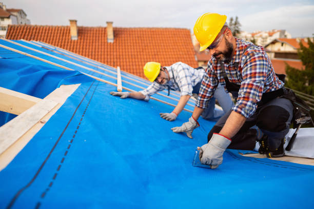 Best Gutter Installation and Roofing  in Shields, MI