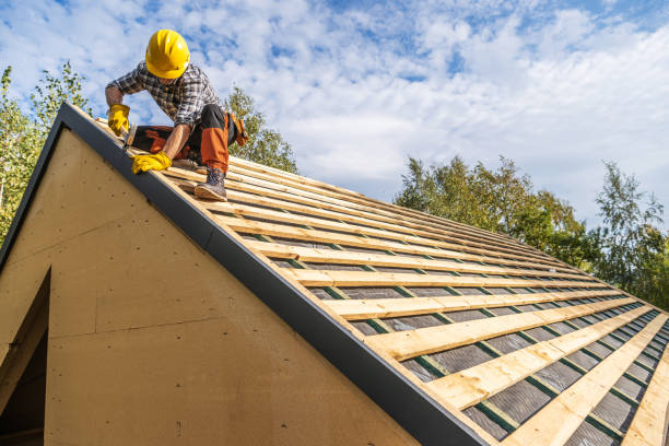 Best Metal Roofing Contractor  in Shields, MI
