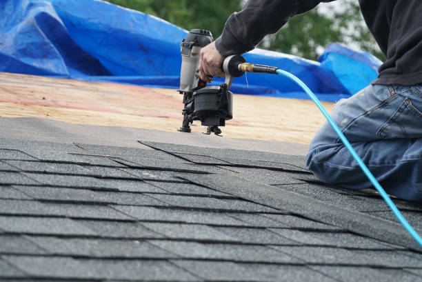 Best Residential Roof Replacement  in Shields, MI
