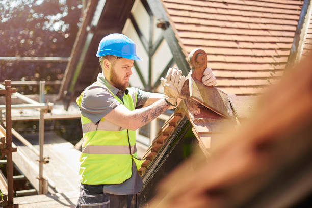 Best Local Roofing Companies  in Shields, MI