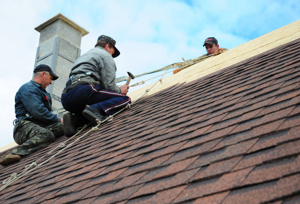 Best Commercial Roof Installation  in Shields, MI