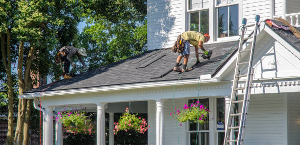 Best Emergency Roof Repair  in Shields, MI