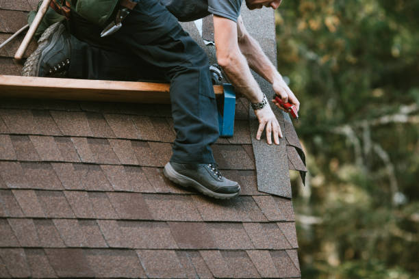 Best Residential Roofing Contractor  in Shields, MI