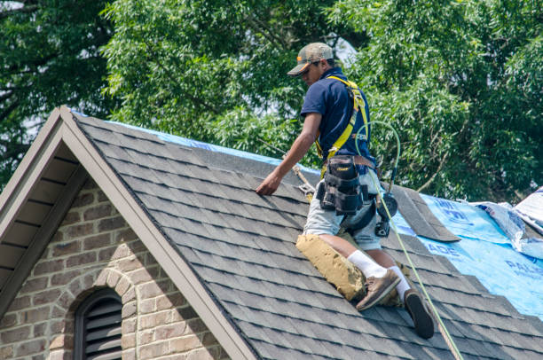 Best Best Roofing Contractors  in Shields, MI